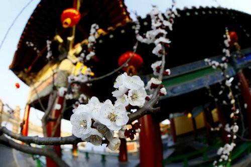 美在四季美在清明上河园