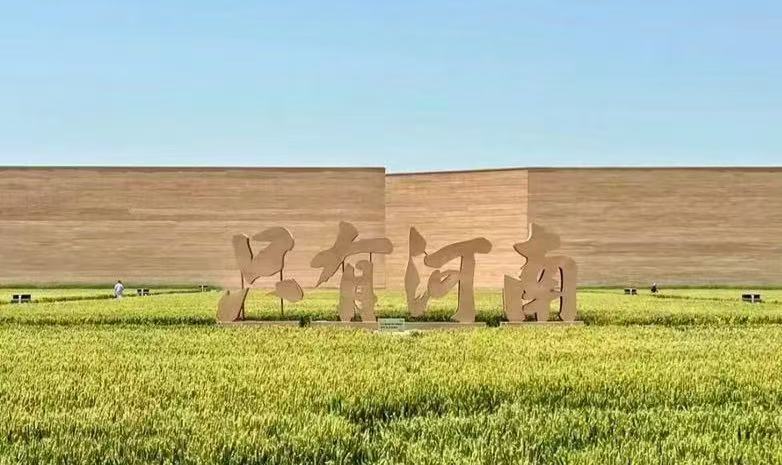  老家河南网-河南省实有经营主体1140.52万户